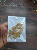Antique Gold Classic American Diamond Festive Haram with Matching Earrings